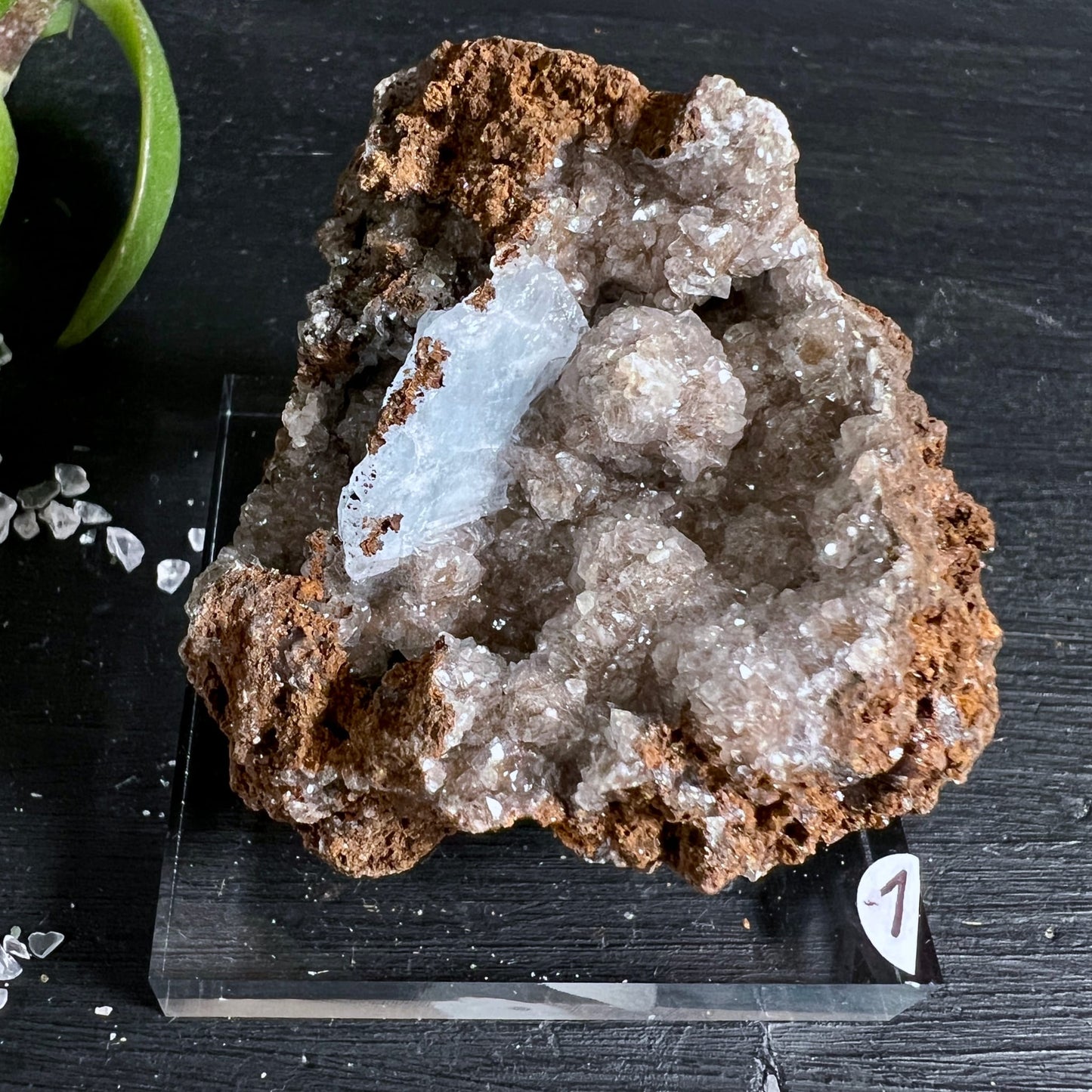Blauer Baryt Rohstein Variante 1 | einzelner Kristallstab | silbrig-weißer Quarz | Goethit-Matrix | Happy Minerals