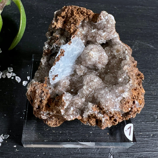 Blauer Baryt Rohstein Variante 1 | einzelner Kristallstab | silbrig-weißer Quarz | Goethit-Matrix | Happy Minerals