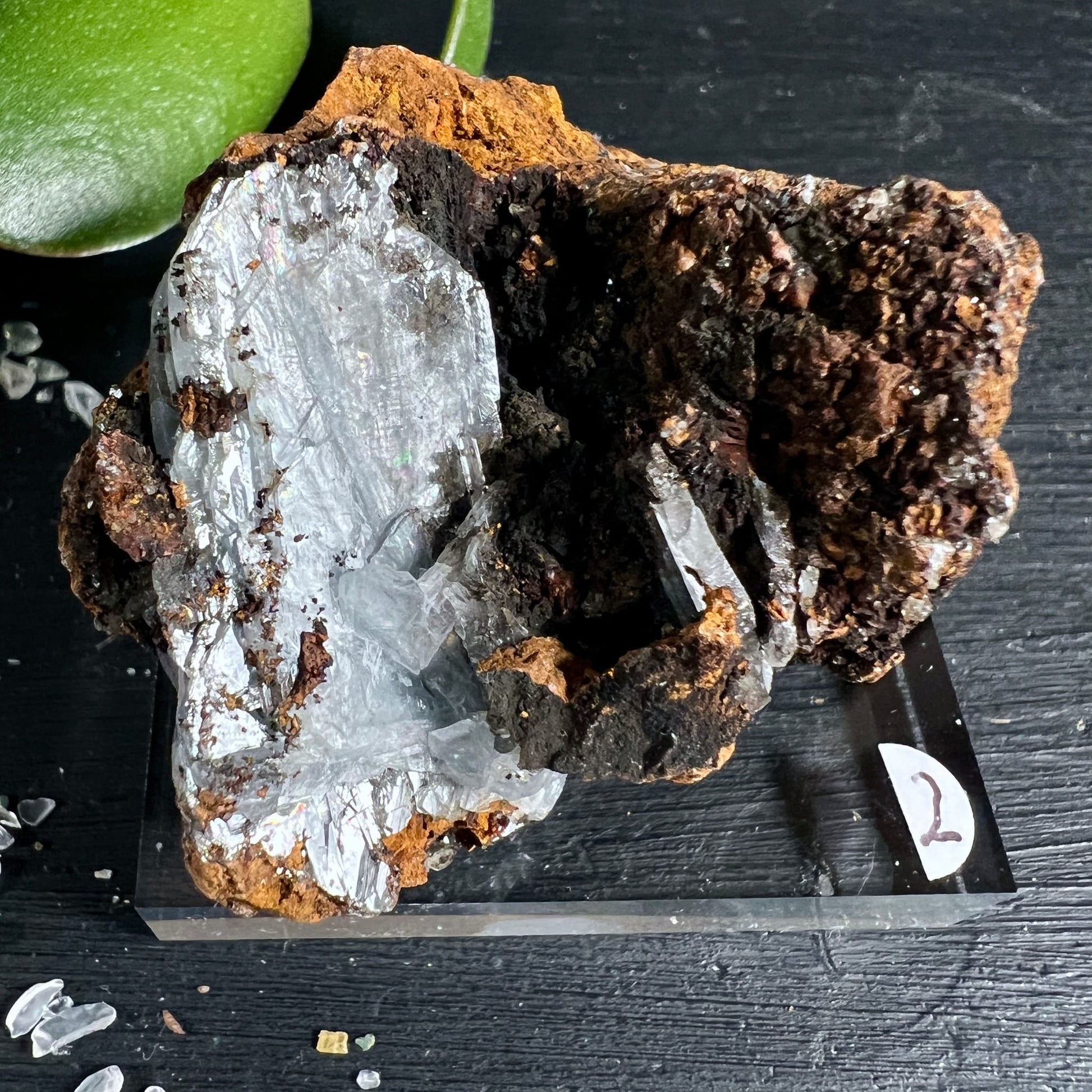 Blauer Baryt Rohstein Variante 2 | großer tafelig glänzender Kristall | dunkelbrauner Goethit | Marokko | Happy Minerals