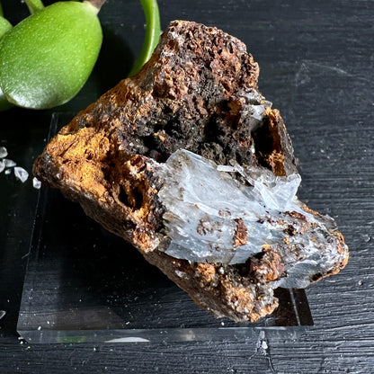 Blauer Baryt Rohstein Variante 2 | Rückseite | flacher Kristall auf porösem Eisengestein | erdige Töne | Happy Minerals
