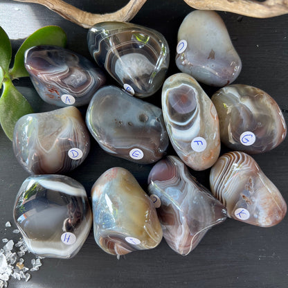 Botswana Achat Handschmeichler | Kollektion auf dunklem Holz | Happy Minerals | natürliche Bänderung | Edelsteine