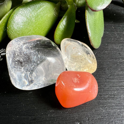 Brasilianische Edelsteine Set | Karneol Citrin Rauchquarz | Glasklare Transparenz | Jade Pflanze | Happy Minerals