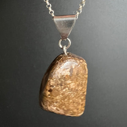Bronzit Trommelstein | Rückseite hängend | goldene Glimmerflecken | Silberkette | Happy Minerals