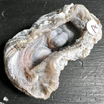 Chalcedon Rosette aus Brasilien, Rio Grande do Sul | Ansicht 1 | Happy Minerals