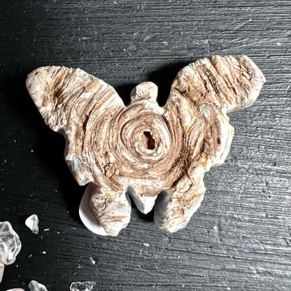 Chalcedon Rosette | Ansicht 11 | Happy Minerals