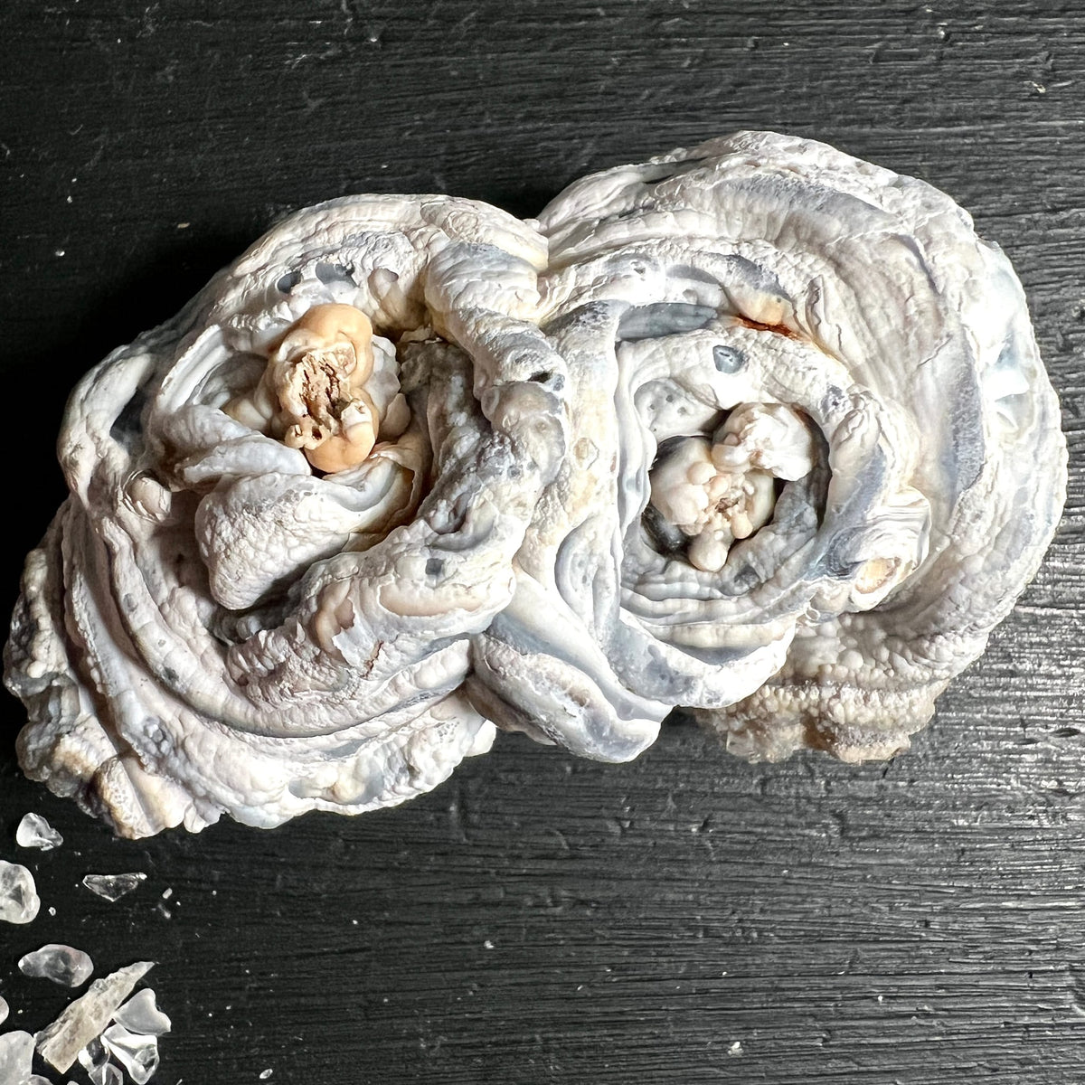 Chalcedon Rosette aus Brasilien, Rio Grande do Sul | Ansicht 2 | Happy Minerals