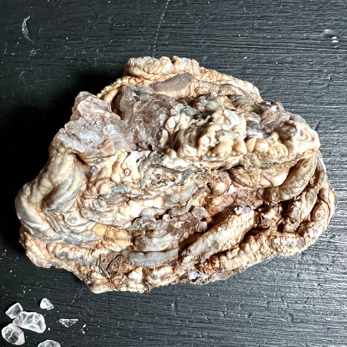 Chalcedon Rosette aus Brasilien, Rio Grande do Sul | Ansicht 4 | Happy Minerals