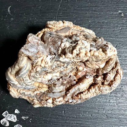 Chalcedon Rosette aus Brasilien, Rio Grande do Sul | Ansicht 4 | Happy Minerals