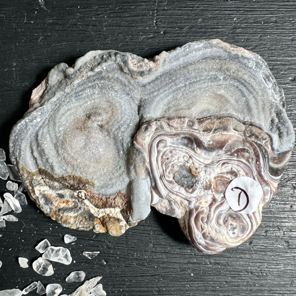 Chalcedon Rosette aus Brasilien, Rio Grande do Sul | Ansicht 8 | Happy Minerals