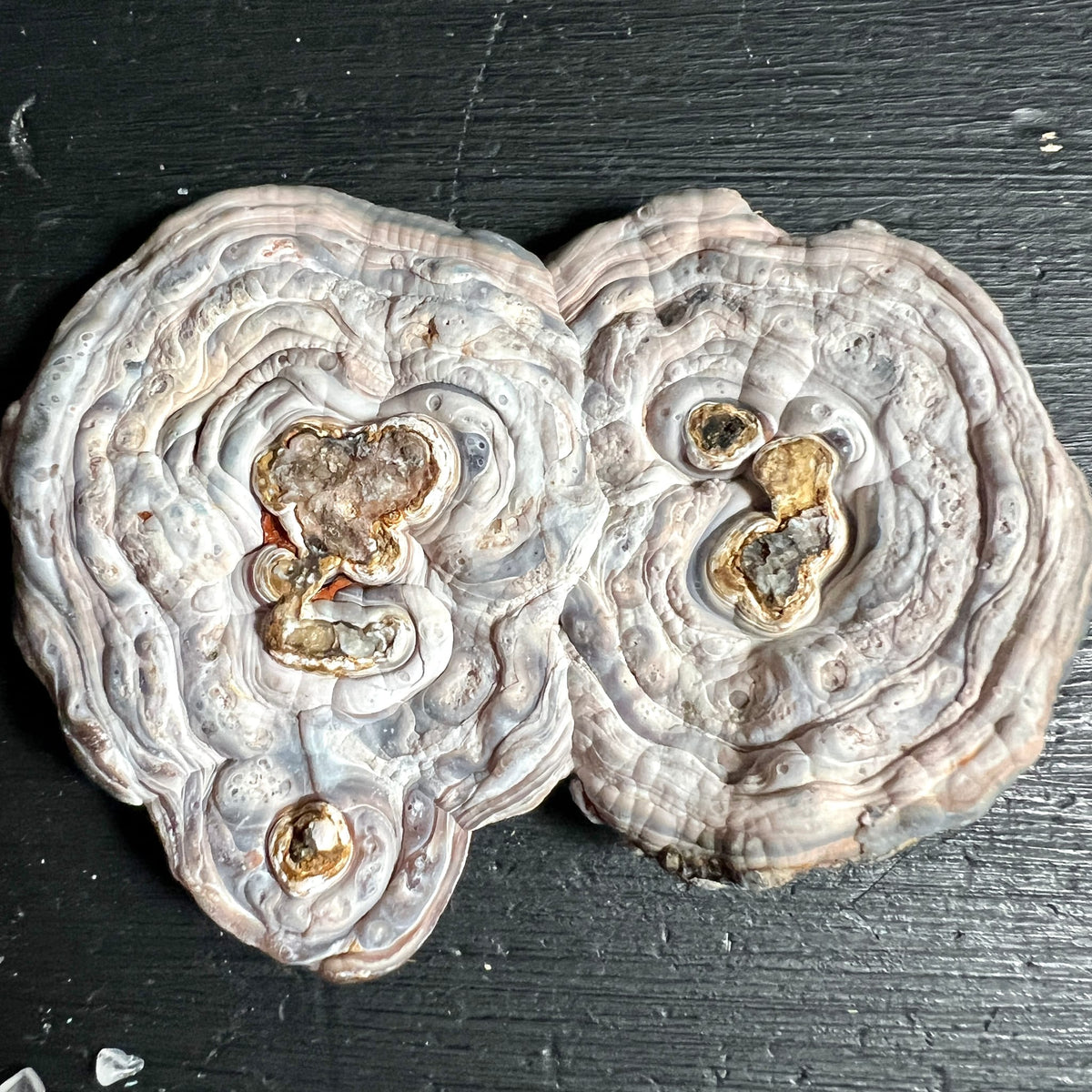 Chalcedon Rosette aus Brasilien, Rio Grande do Sul | Ansicht 9 | Happy Minerals