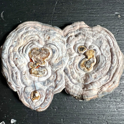 Chalcedon Rosette aus Brasilien, Rio Grande do Sul | Ansicht 9 | Happy Minerals