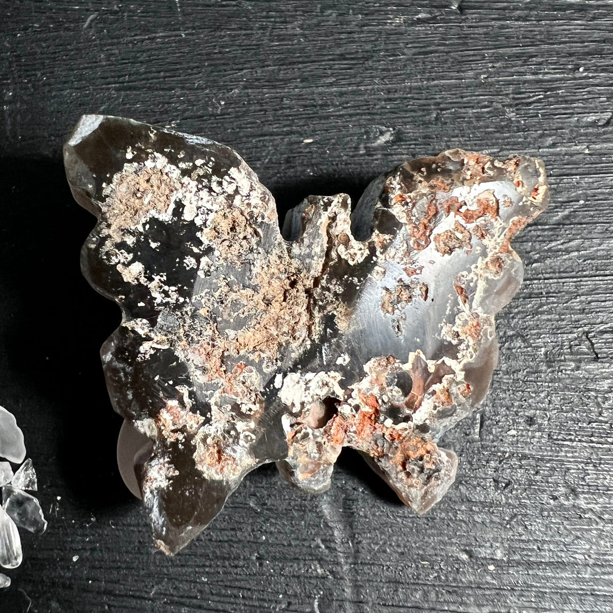 Chalcedon Rosette Schmetterling Variante 2 | Dunkelgraue Textur mit Rostakzent | Happy Minerals