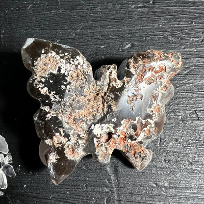 Chalcedon Rosette Schmetterling Variante 2 | Dunkelgraue Textur mit Rostakzent | Happy Minerals