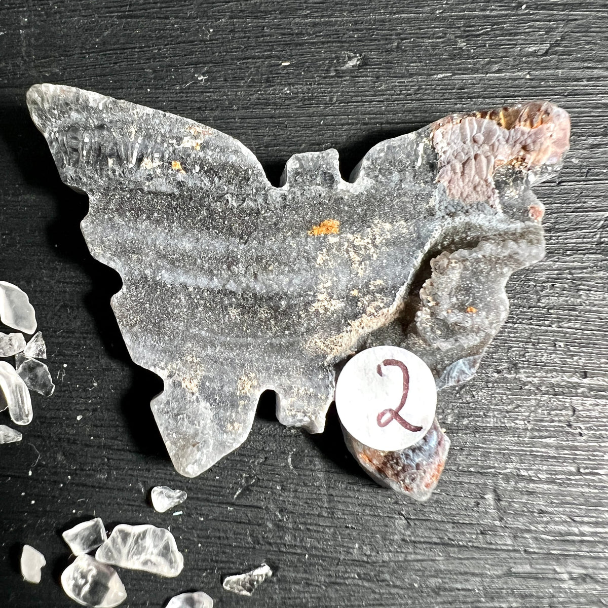 Chalcedon Rosette Schmetterling Variante 2 | Grau mit rötlicher Spitze | Happy Minerals