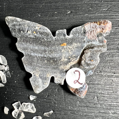 Chalcedon Rosette Schmetterling Variante 2 | Grau mit rötlicher Spitze | Happy Minerals