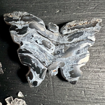 Chalcedon Rosette Schmetterling Variante 3 | Marmorierte Schwarz-Grau-Muster | Happy Minerals