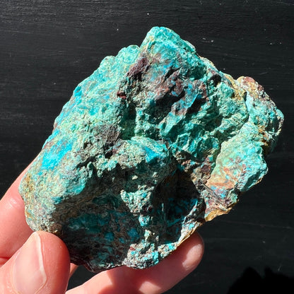 Chrysokoll Rohstein Peru | in der Hand | Größenvergleich | strahlend türkis | lebhafte Farbnuancen | Happy Minerals