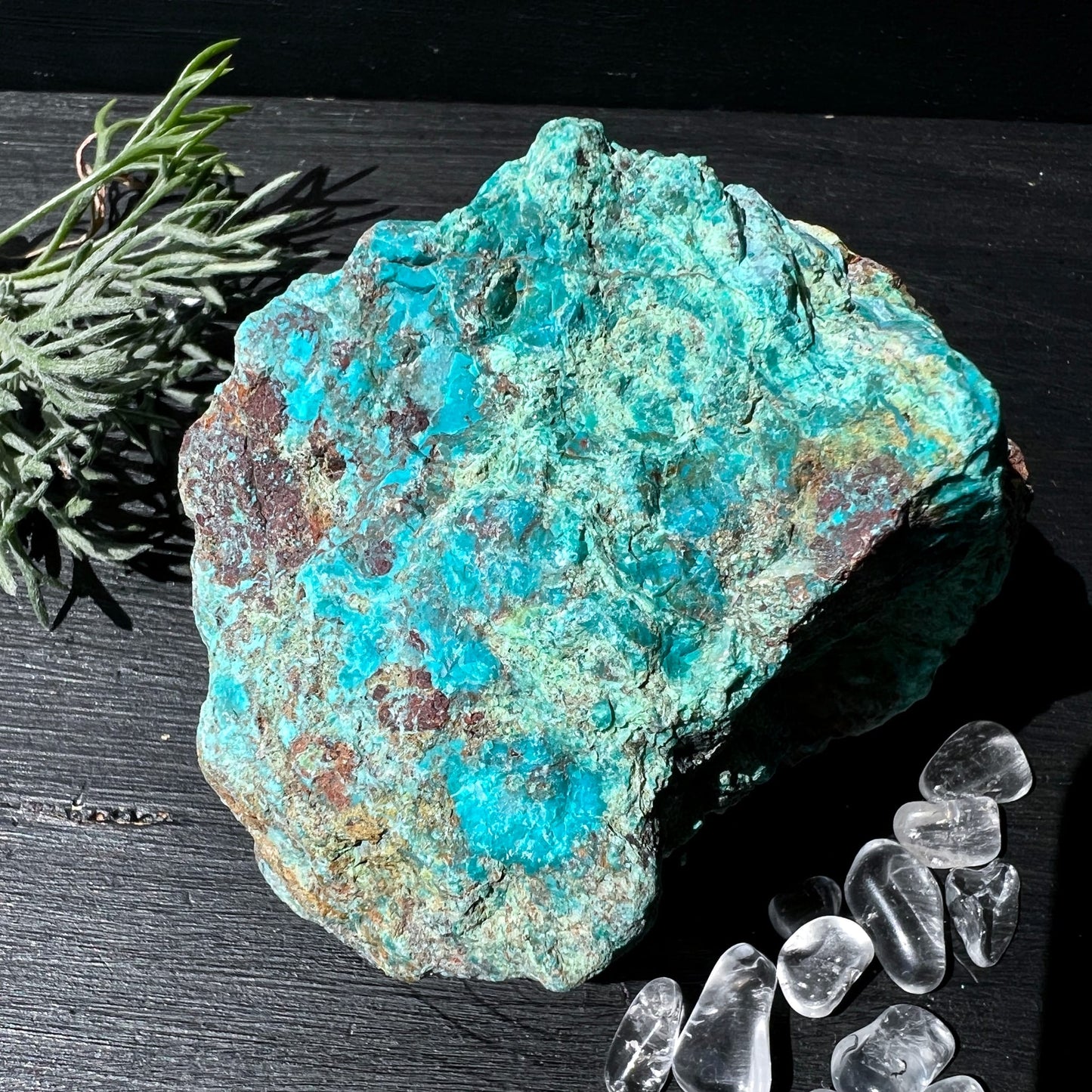 Chrysokoll Rohstein Peru | türkis leuchtendes Mineral | Draufsicht | Rosmarin | Bergkristalle | Happy Minerals