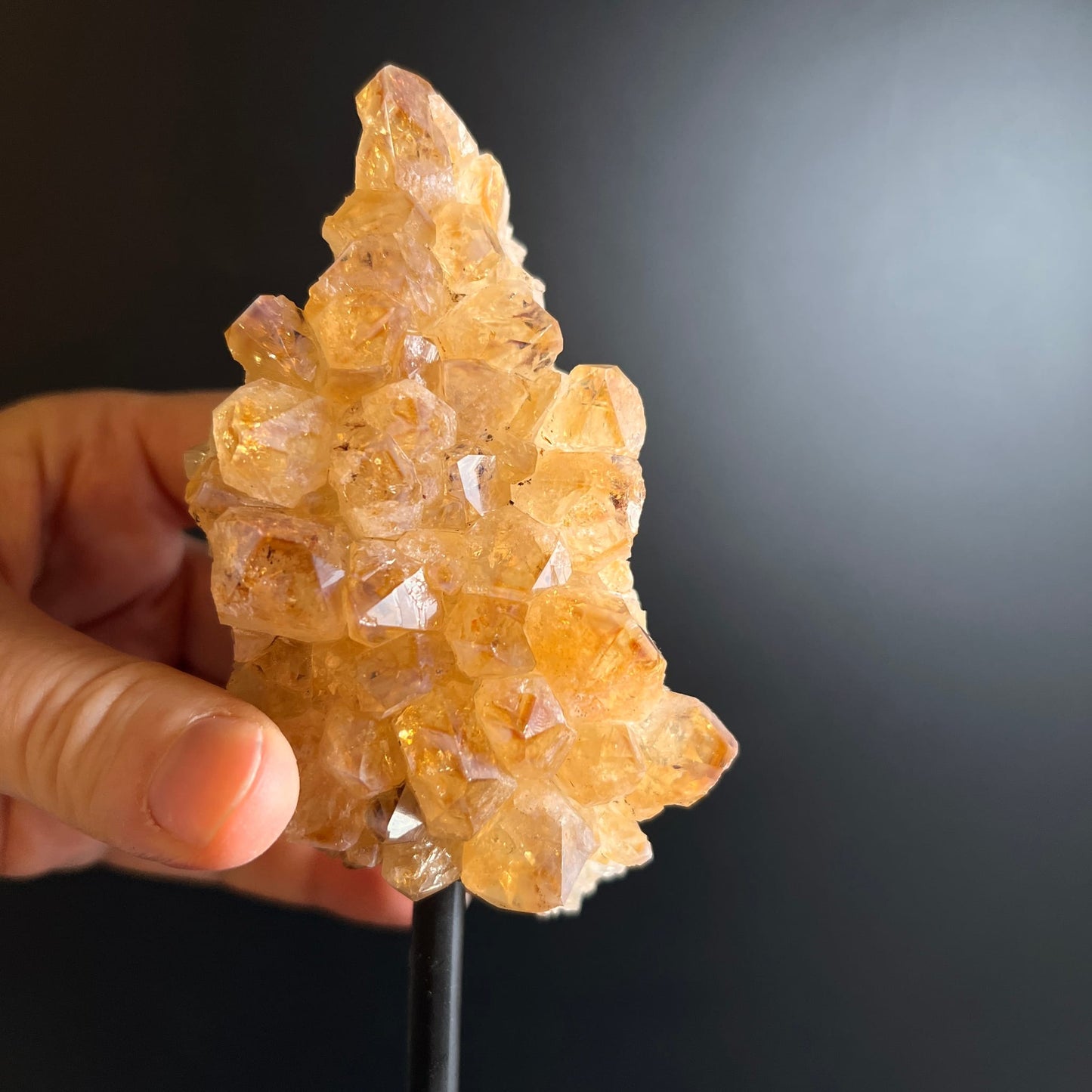Citrin Variante B | Handgröße | frontal | strahlend gelborange Cluster | Brasilien | Happy Minerals