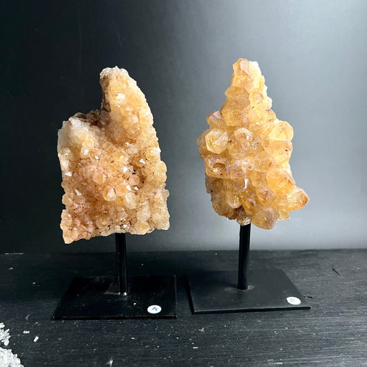 Citrin Rohstein Duo | Variante A & B | goldene Kristallcluster auf Metallständer | Brasil | Happy Minerals