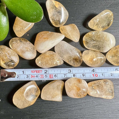 Citrin Trommelstein 20-30mm mit Maßband | Mini Handschmeichler für Tasche Portemonnaie | Happy Minerals