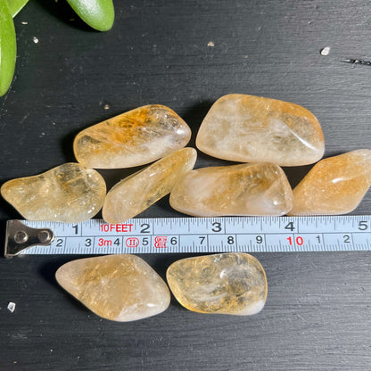 Citrin Trommelstein 40mm XL mit Maßband | Premium Qualität für Meditation Altar | Happy Minerals