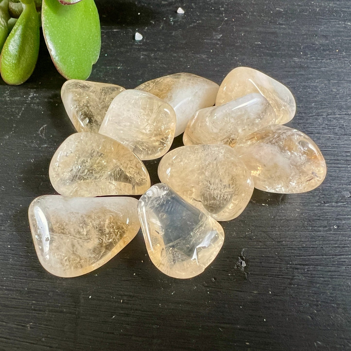 Citrin Trommelsteine Blütenform | 10 goldgelbe Kristalle arrangiert | warme Sonnensteine | Happy Minerals