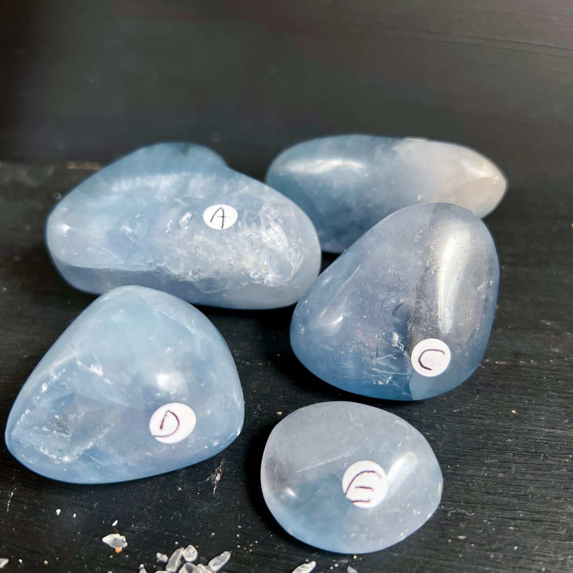 Celestit Handschmeichler A-E | sanftes Blau | Gruppenansicht von oben | Madagaskar | Happy Minerals