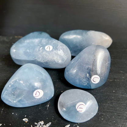 Celestit Handschmeichler A-E | sanftes Blau | Gruppenansicht von oben | Madagaskar | Happy Minerals