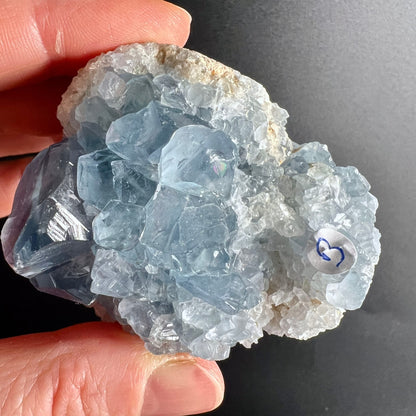 Coelestin Rohstein | Variante B | himmelblaue Kristalle | glasklare Spitzen | Madagaskar | Happy Minerals