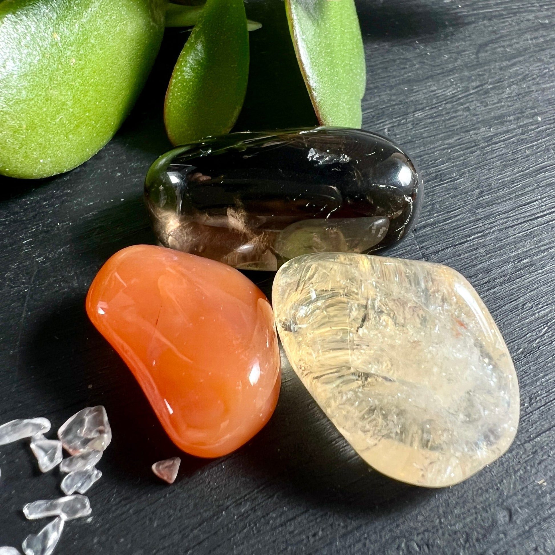 Edelstein Trio Set | Karneol Citrin Rauchquarz | Polierte Trommelsteine | Gruene Jade Pflanze | Happy Minerals