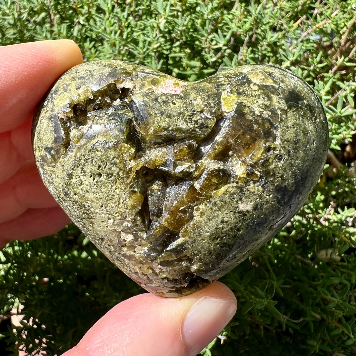 Epidot | Herz in Hand | Peru | grüne Naturkulisse | glänzende Kristalldruse | einzigartige Maserung | Happy Minerals