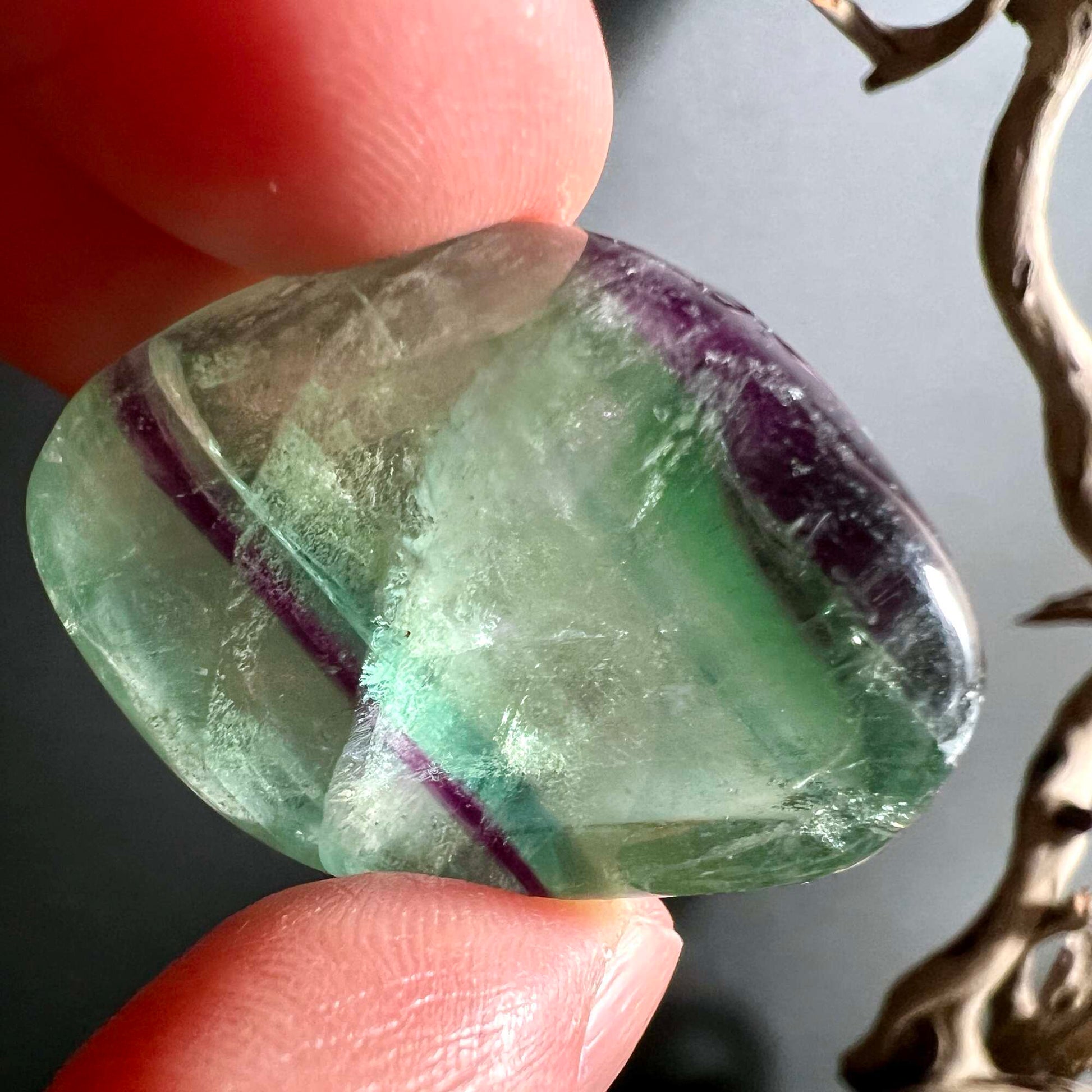 Einzelner Regenbogenfluorit mit markanten violetten Streifen auf grünem Grund