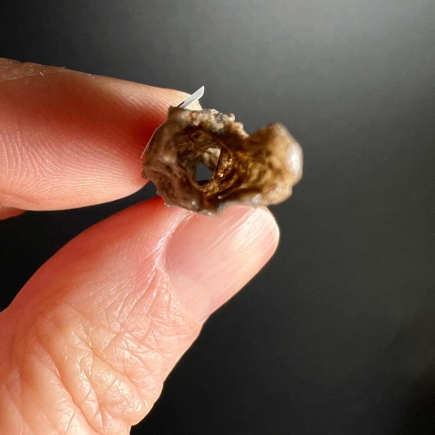 Fulgurit | Ansicht 11 | Happy Minerals