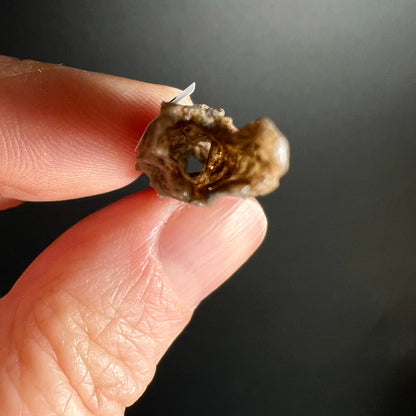 Fulgurit | Ansicht 11 | Happy Minerals