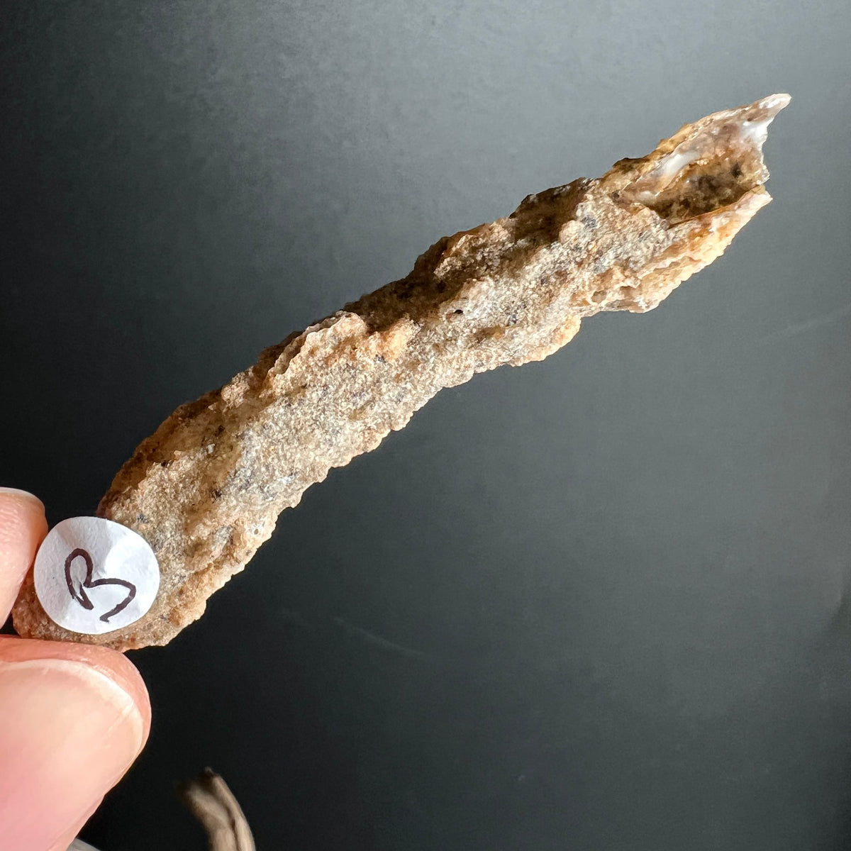 Fulgurit Rohstein B | beige-braune Blitzröhre | natürliche Hohlräume | Sahara Wüstenschatz | Happy Minerals