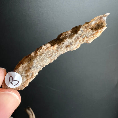 Fulgurit Rohstein B | beige-braune Blitzröhre | natürliche Hohlräume | Sahara Wüstenschatz | Happy Minerals