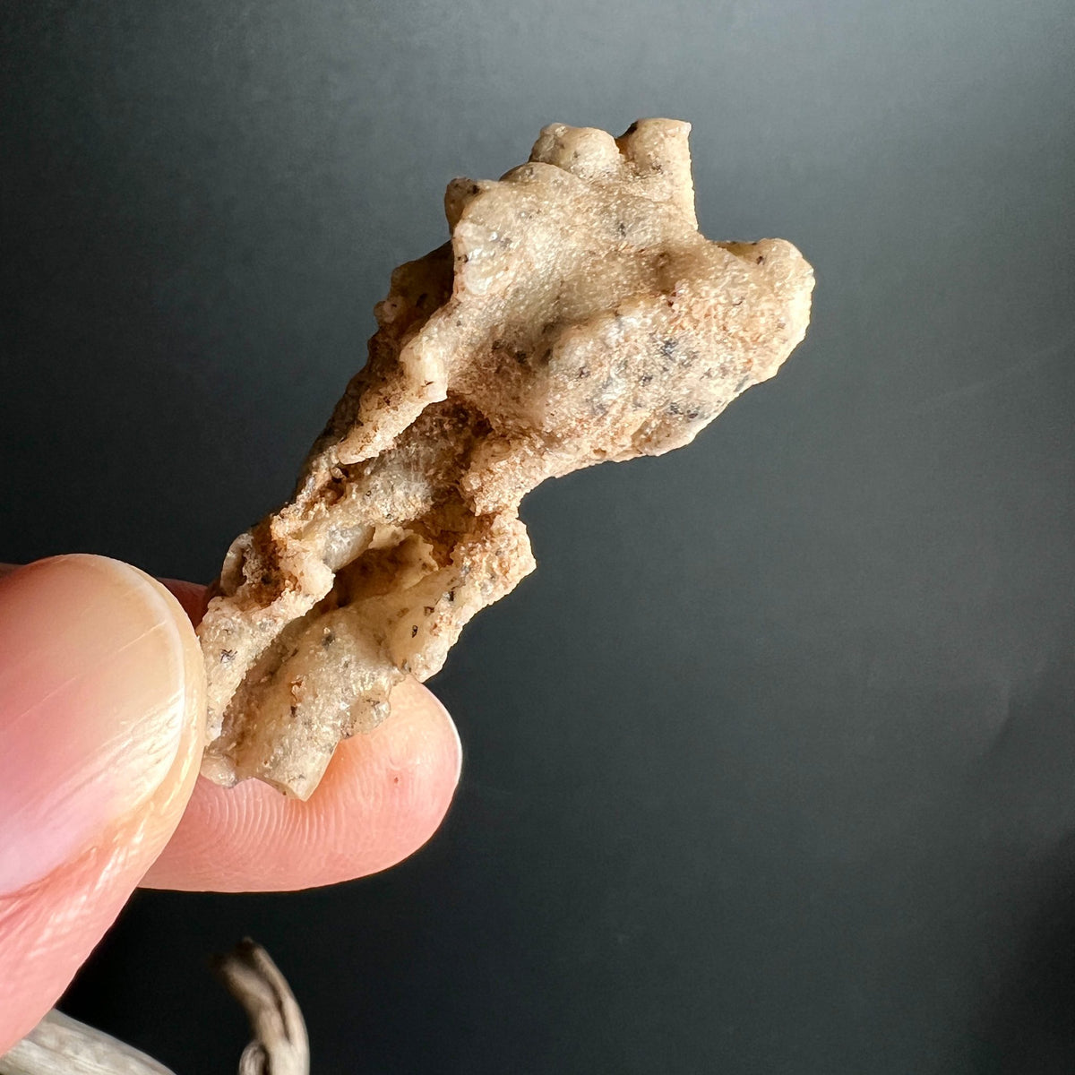 Fulgurit Rohstein C | poröse Oberfläche | goldbraune Blitzspuren | authentischer Sahara Fund | Happy Minerals