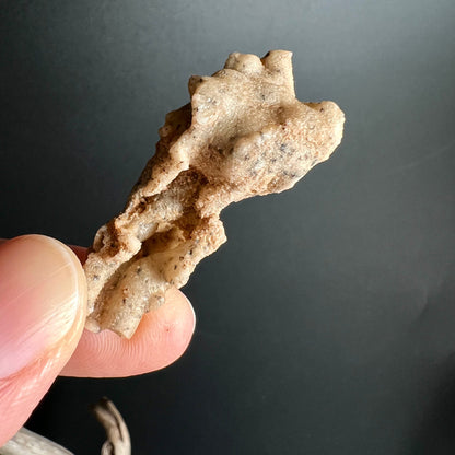 Fulgurit Rohstein C | poröse Oberfläche | goldbraune Blitzspuren | authentischer Sahara Fund | Happy Minerals