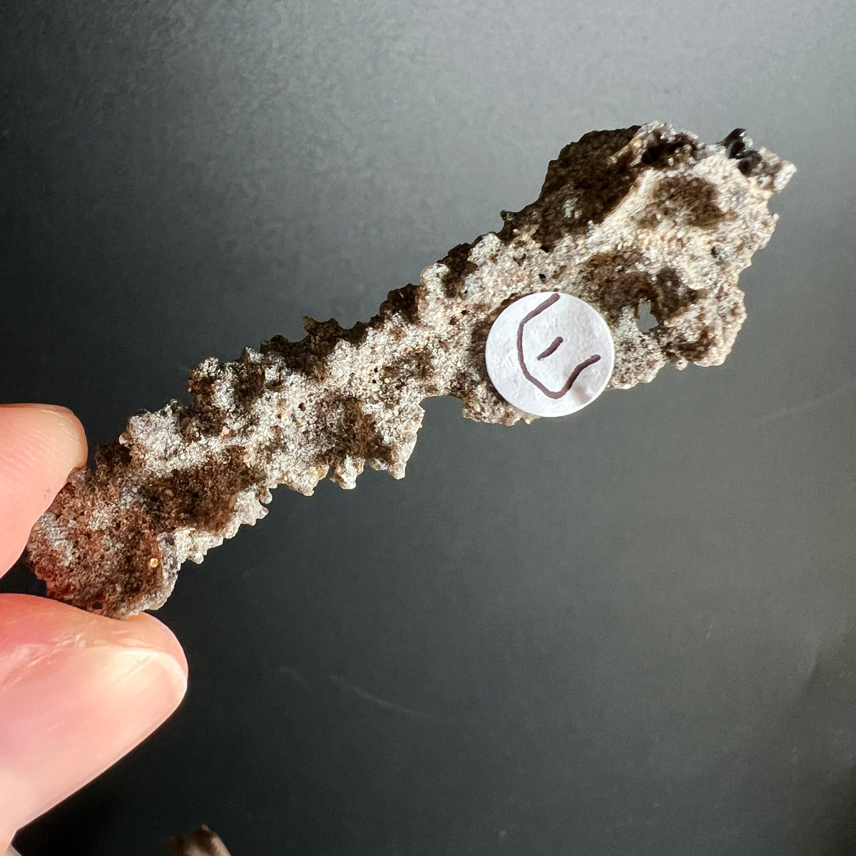 Fulgurit Rohstein E | naturbelassene Blitzröhre | raue Kanten | kraftvoller Sahara Stein | Happy Minerals