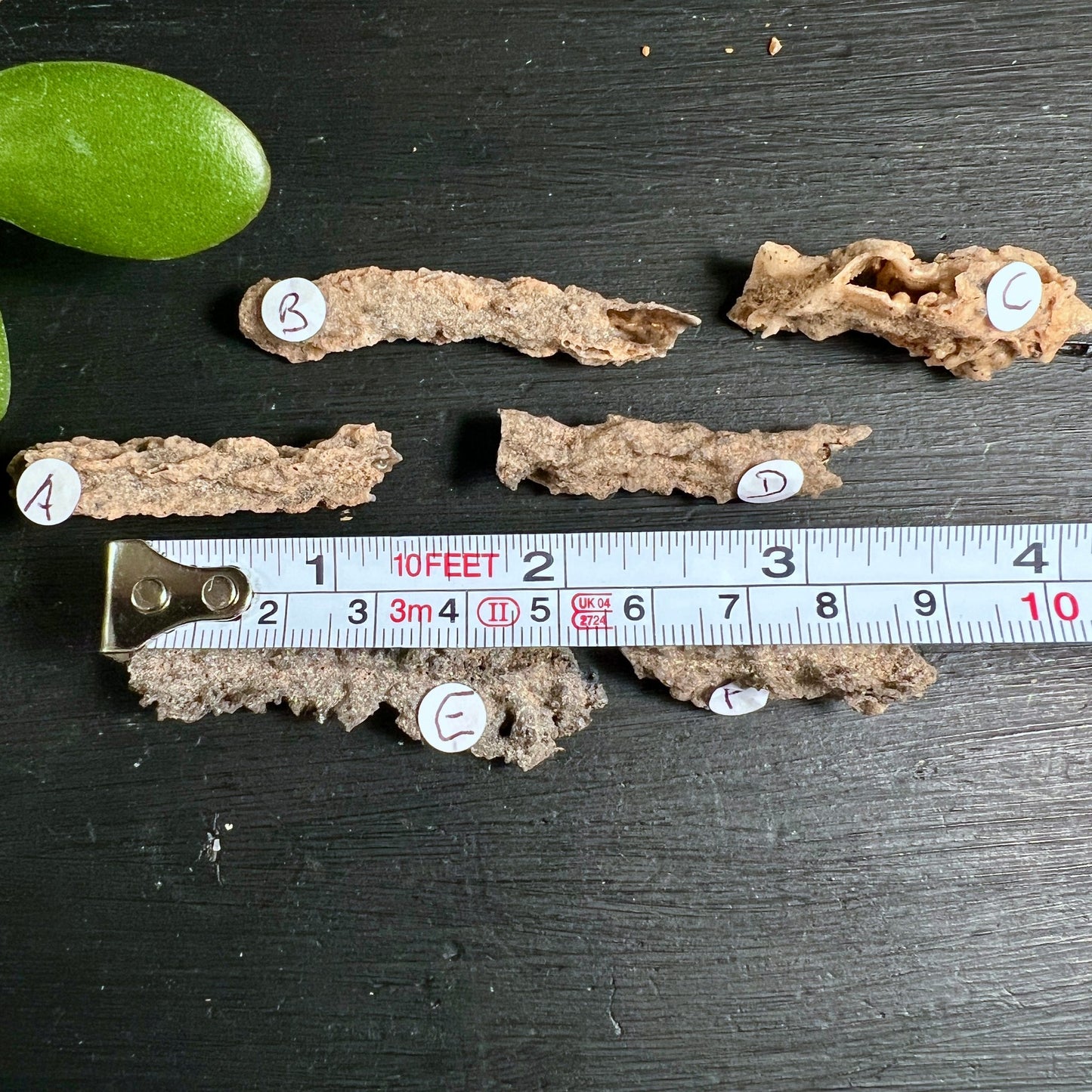 Fulgurit Rohsteine Kollektion | Maßband zeigt Größe | natürliche Blitzglas Vielfalt | Sahara | Happy Minerals