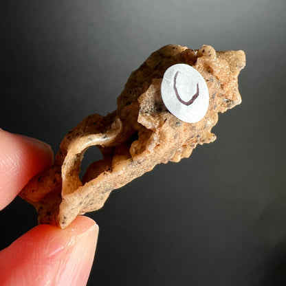 Fulgurit Rohstein transparent | durchscheinende Struktur | warmes Licht | einzigartige Sahara Formation | Happy Minerals