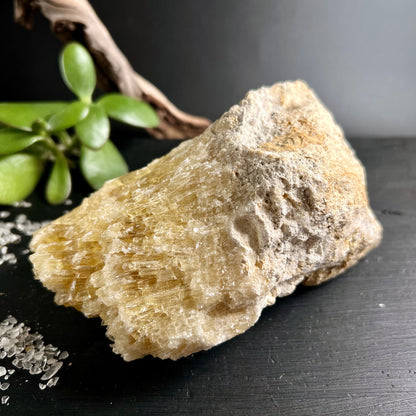 Gelber Calcit Rohstein | honiggelb & fasrig | Sukkulente & Treibholz | Bayern | Happy Minerals