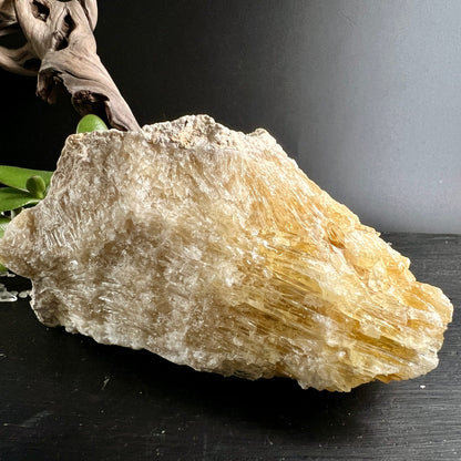 Gelber Calcit Rohstein | strahlendes Goldgelb | fächerförmige Kristallstruktur | Bayern | Happy Minerals