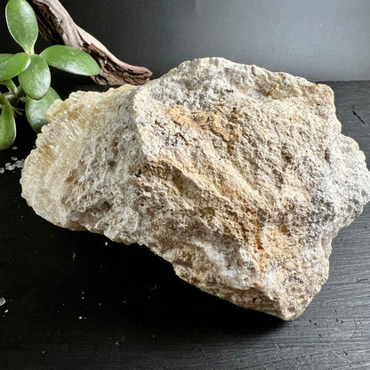 Gelber Calcit Rohstein | Rückseite | beige-erdige Matrix | naturbelassen | Bayern | Happy Minerals