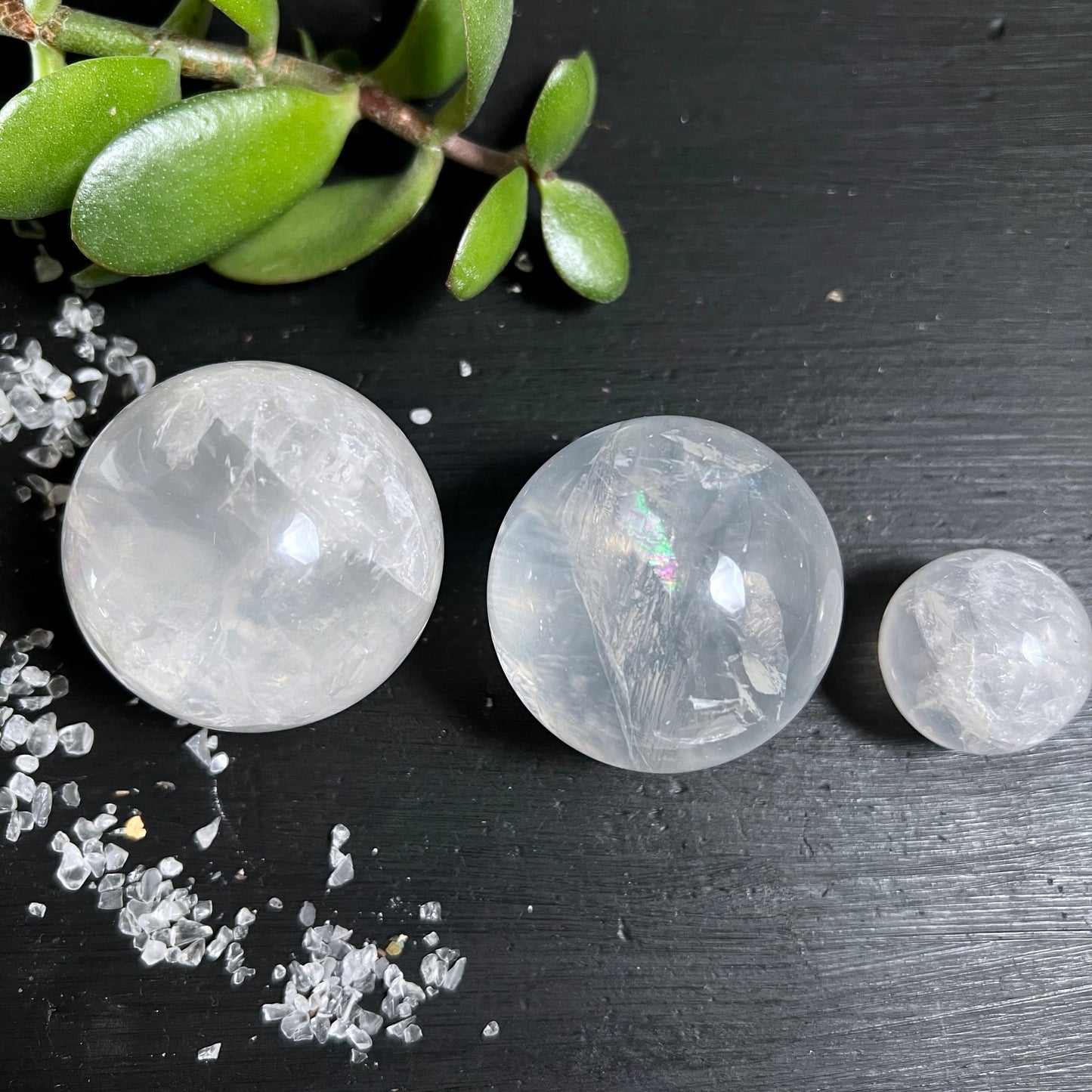 Girasol Kugeln | 3 Größen | milchig-weiß | Regenbogenreflexe | schwarzer Hintergrund | Happy Minerals