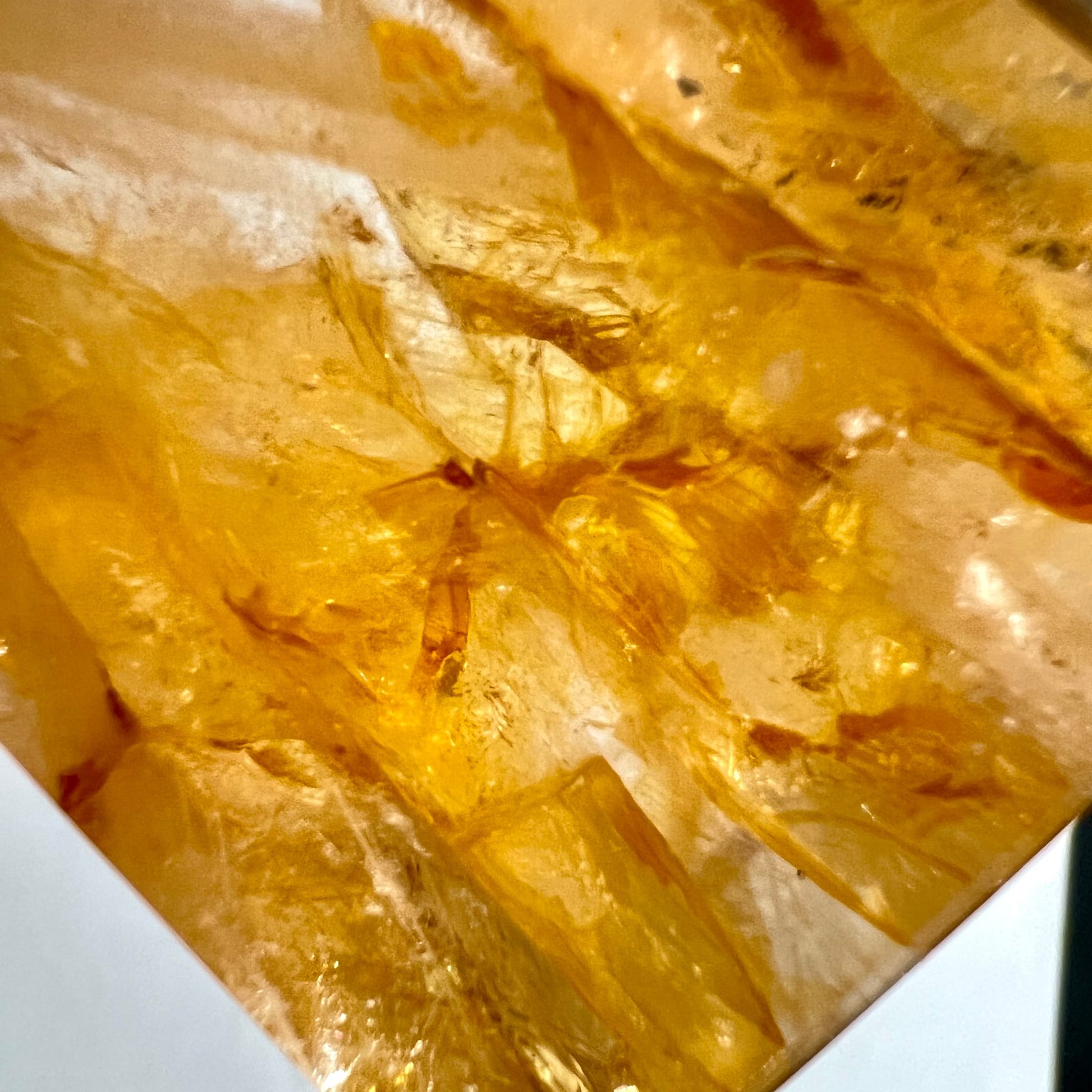 Golden Healer Makroaufnahme | filigrane Limonit-Adern | innere Landschaften | goldschimmernde Details | Happy Minerals