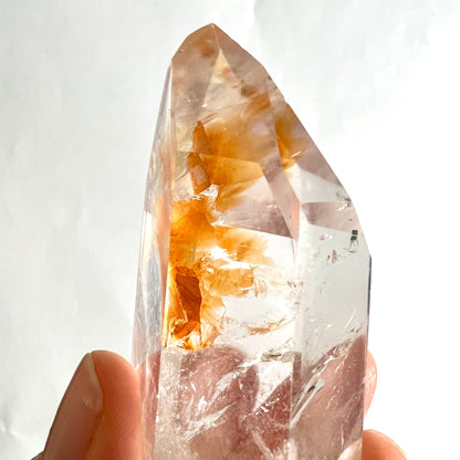 Golden Healer Quarz im Licht | transparente Spitze mit goldenem Kern | Happy Minerals