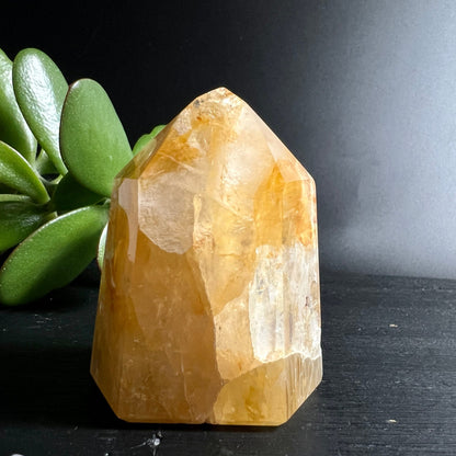 Golden Healer Quarz | polierte Spitze | warme Honigfarben | Brasilien | Kristall | Happy Minerals
