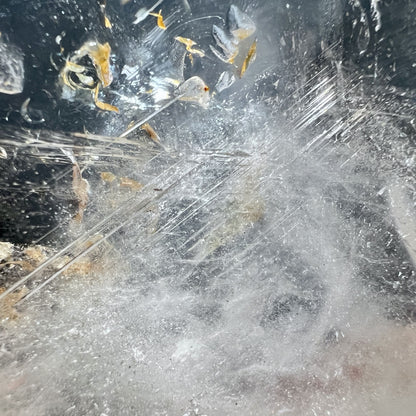 Detailaufnahme Golden Healer und Silberrutil Nadeln in Bergkristallschale | Happy Minerals